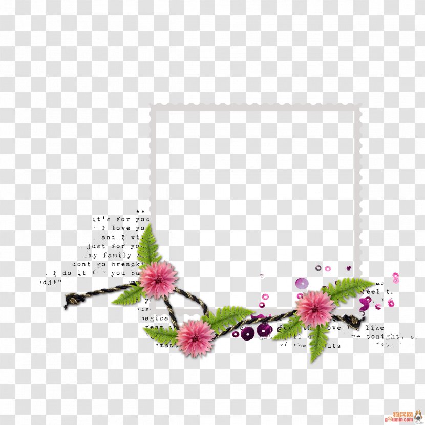 Image Picture Frames Design - Motif - Assinatura Border Transparent PNG