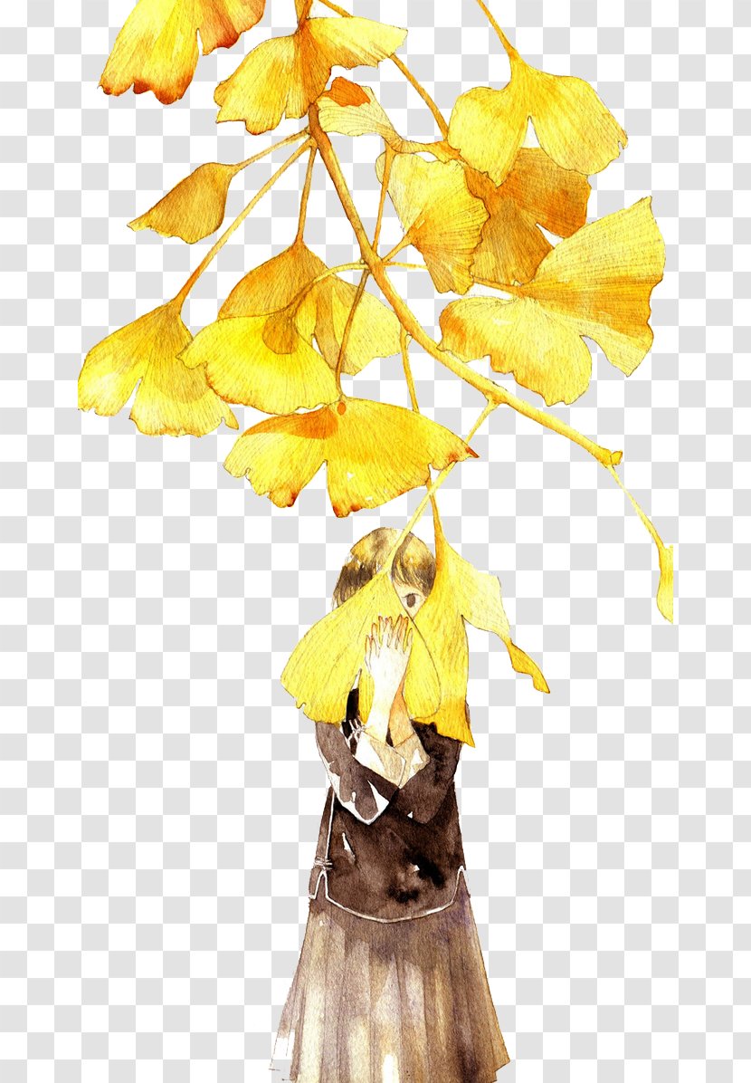 Autumn - Ginkgo Biloba - Tree Transparent PNG