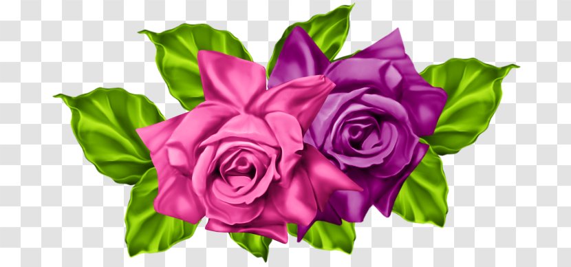 Garden Roses Floral Design Cut Flowers - Gratis - Flower Transparent PNG