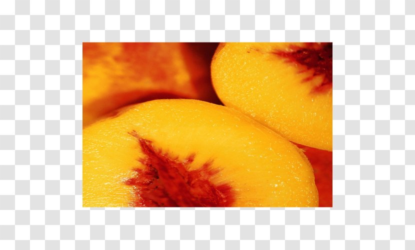 Peach Juice Nectar Auglis Fruit - Health Transparent PNG