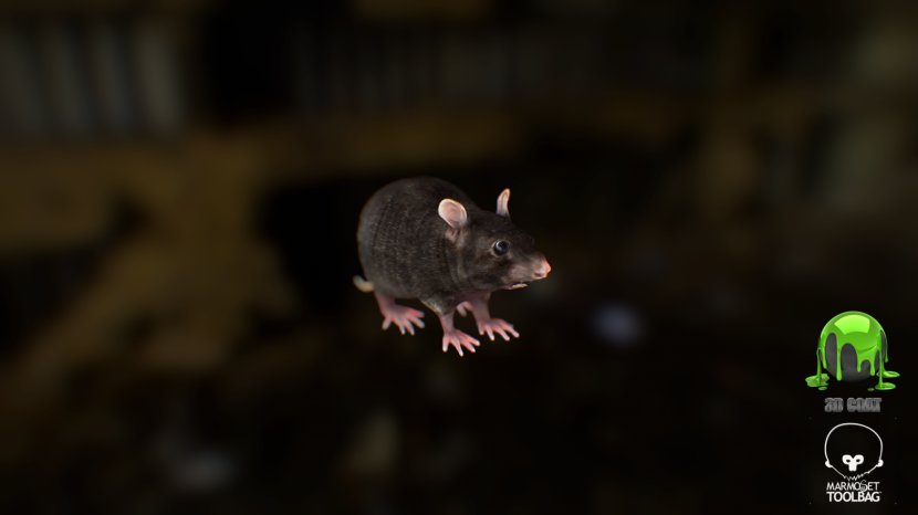 Rat Murids Low Poly Mouse Rendering - Houdini - & Transparent PNG
