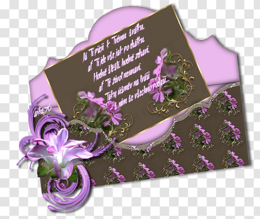 Blahoželanie Name Day Birthday Wish Happiness - Magenta Transparent PNG