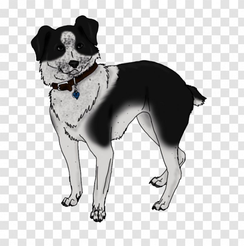 Dog Breed Companion Leash Snout Transparent PNG