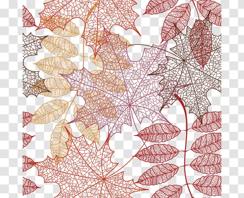 Autumn Leaf Color Pattern - Tree - Texture Transparent PNG