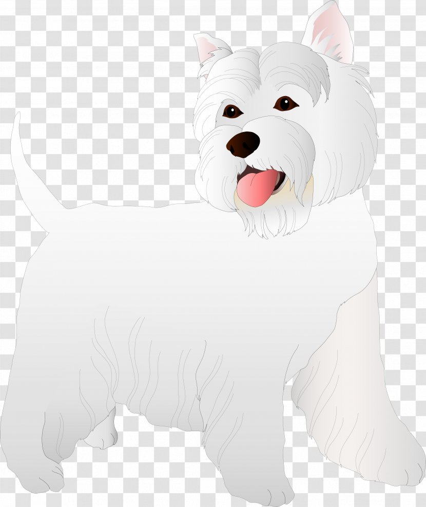 West Highland White Terrier Dog Breed Puppy Companion Transparent PNG