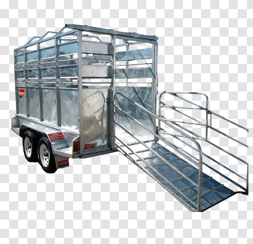 Cattle Ifor Williams Trailers Car Livestock - Motor Vehicle Transparent PNG