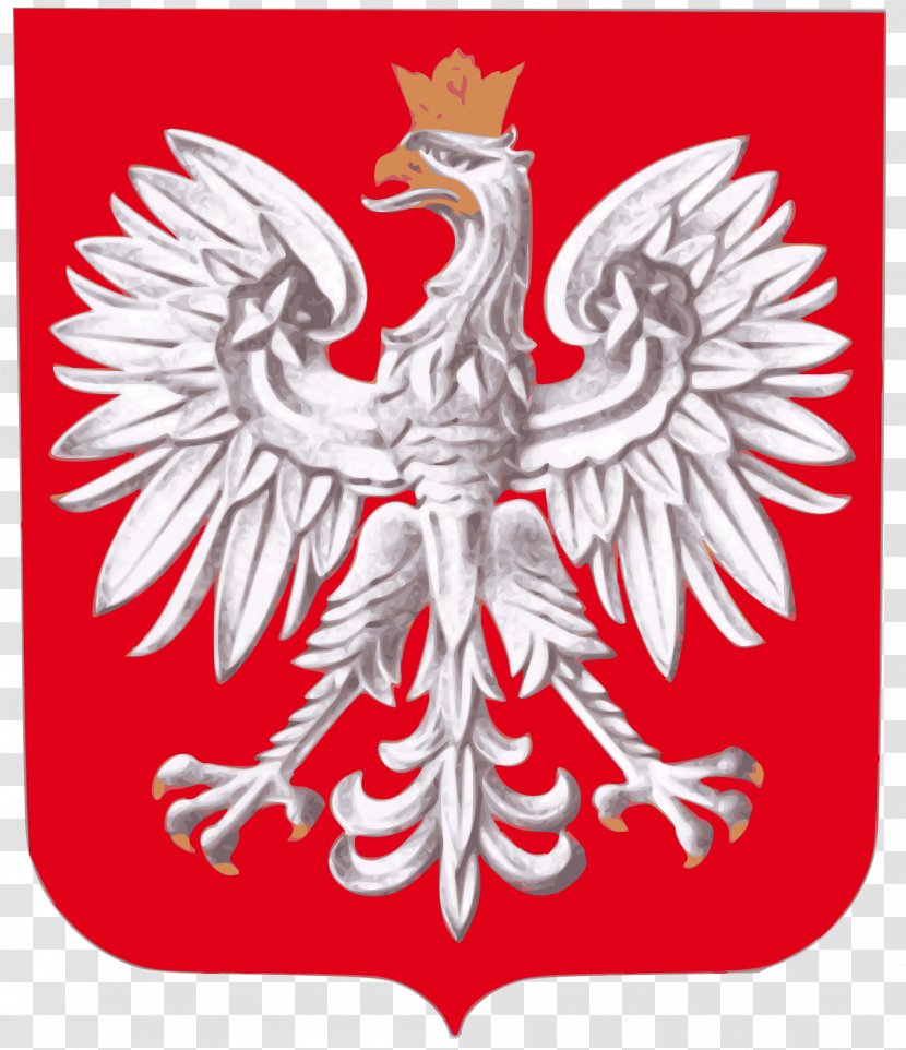 Coat Of Arms Poland Flag National Symbols - Team Transparent PNG