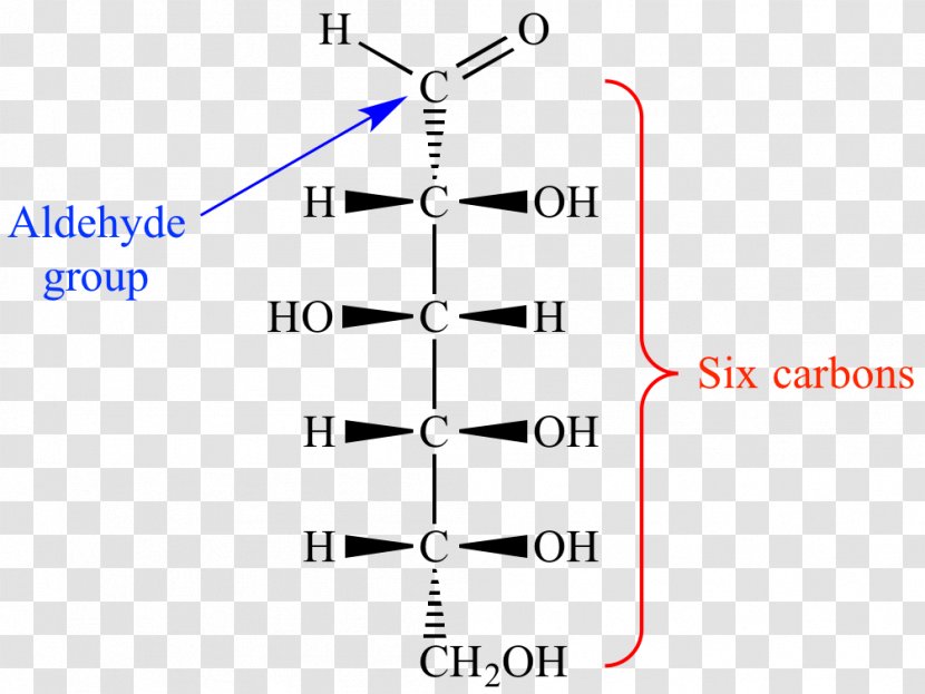 Aldohexose Allose Ketohexose Monosaccharide - Carbohydrate - Altrose Transparent PNG