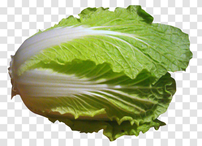 Romaine Lettuce Spring Greens Collard Chinese Cabbage Vegetable - Cruciferous Vegetables Transparent PNG