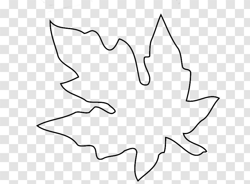 Maple Leaf Acer Macrophyllum Tree Coloring Book - Wing - Pattern Shading Transparent PNG