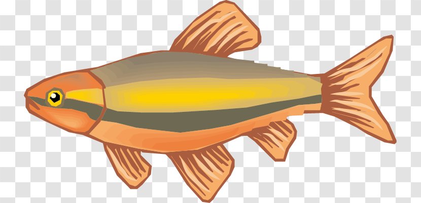 Fish Drawing Cartoon - Organism Transparent PNG