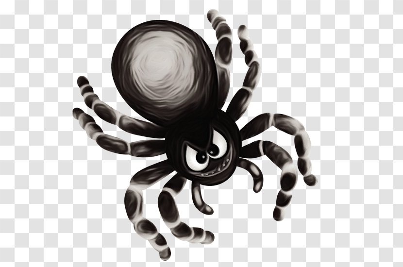 Tarantula Spider Octopus Arachnid Black-and-white - Paint - Blackandwhite Transparent PNG