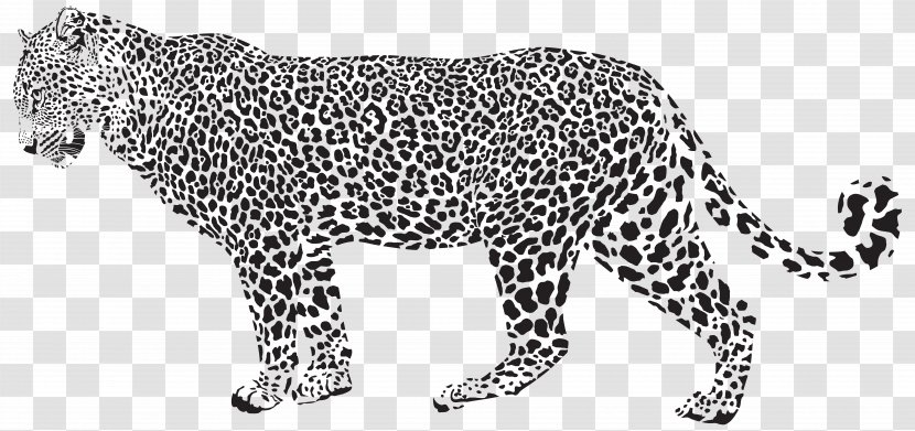 Snow Leopard Cheetah Clip Art - Jaguar - Silhouette Transparent Image Transparent PNG