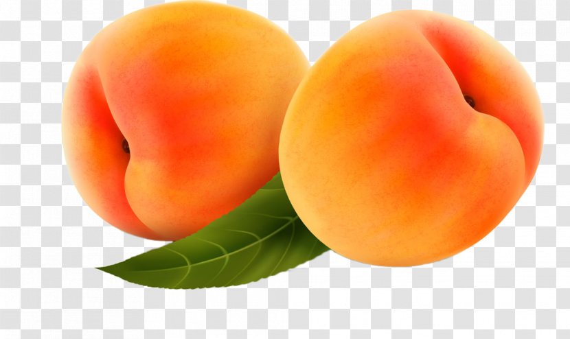 Peach Fruit Clip Art - Peaches Transparent PNG