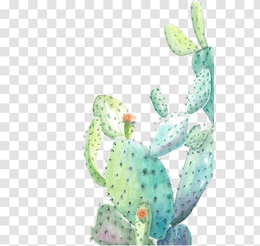 Cactaceae Watercolor Painting Illustration - Printmaking - Cactus Transparent PNG