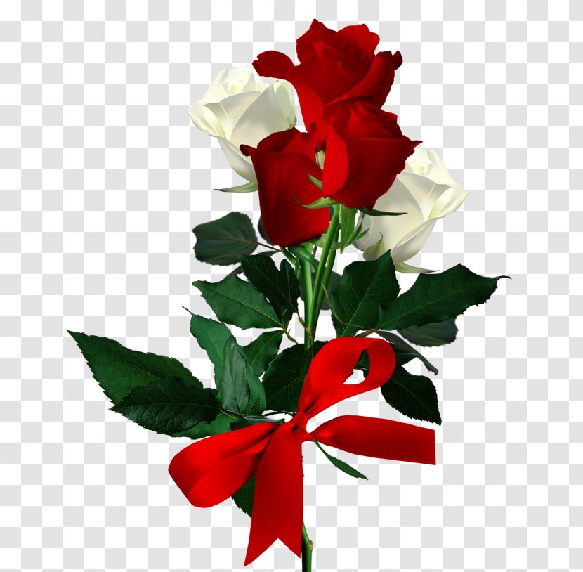 Versek Мифы классической древности Compleanno Graziella March 1 Mărțișor - Cut Flowers - Red Transparent PNG