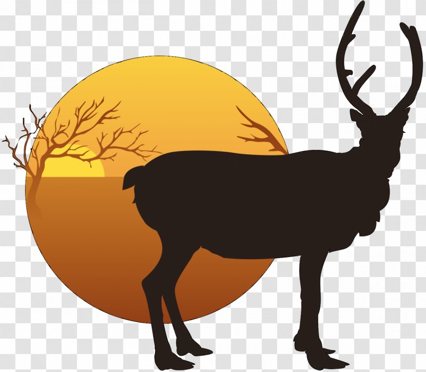 Reindeer Clip Art Elk Fauna - Chamois Transparent PNG