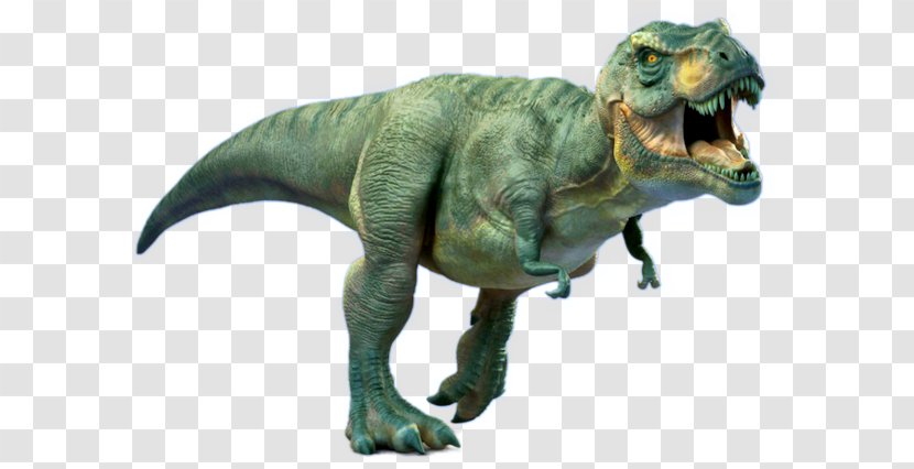 Tyrannosaurus Late Cretaceous Velociraptor Carnivores: Dinosaur Hunter Brachiosaurus Transparent PNG