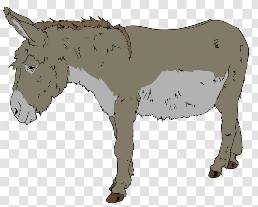 Donkey Free Content Clip Art - Public Domain - Images Transparent PNG