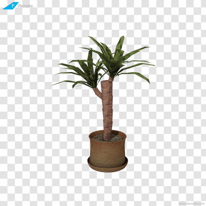 Arecaceae Планоплан Houseplant Room - Palm Tree - Plant Transparent PNG