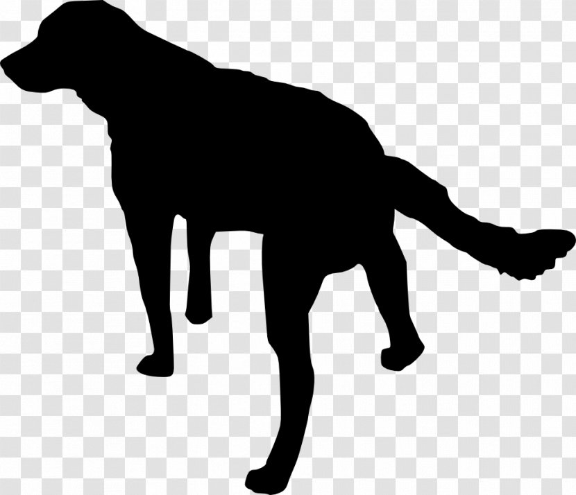 Dog Puppy Clip Art - Carnivora - Dogs Transparent PNG