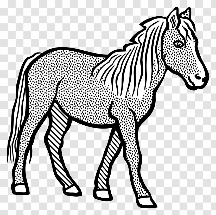Horse Mule Clip Art Line Drawing - Foal Transparent PNG