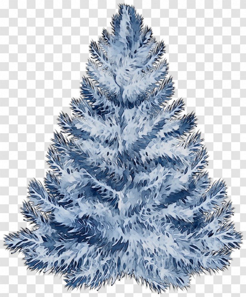 Spruce Christmas Tree Ornament Day Fir - Pine Family Transparent PNG