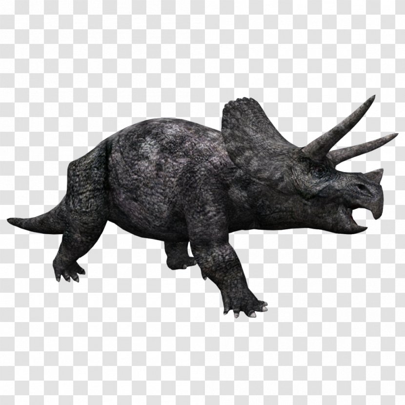 Zoo Tycoon 2 Triceratops Tyrannosaurus Psittacosaurus Spinosaurus - Styracosaurus - Jurassic Park Transparent PNG