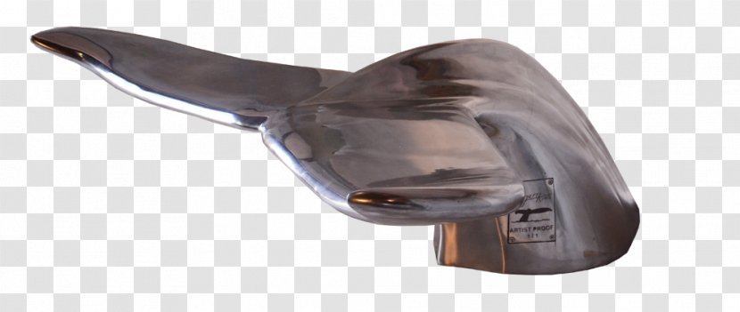 Car - Hardware - Whale Tail Transparent PNG
