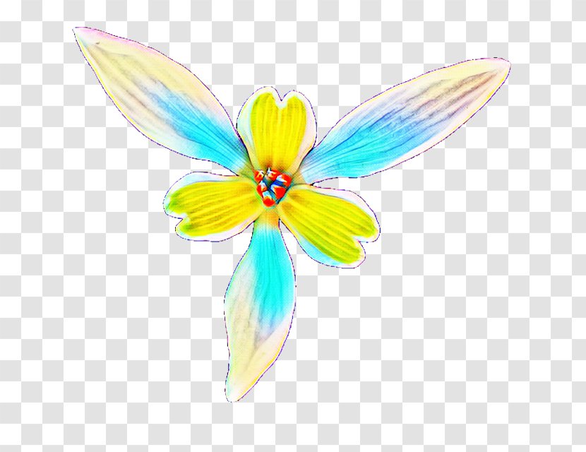 Flower White - Wing - Membrane Transparent PNG