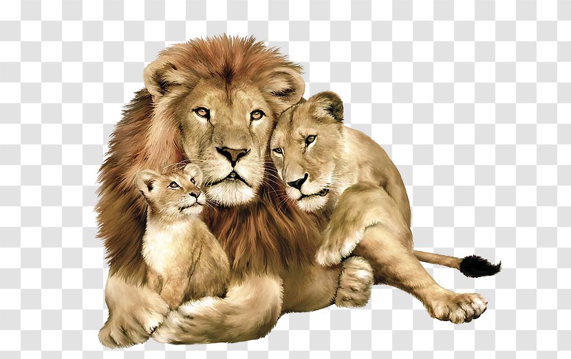 lion clip art free