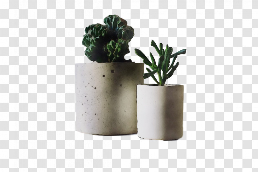 Cactus Transparent PNG