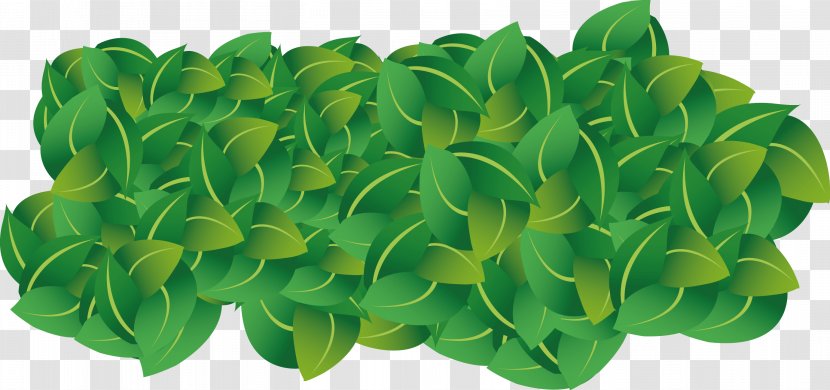 Spring Greens Lettuce Herb Leaf Vegetable - Nature Conservatory Transparent PNG