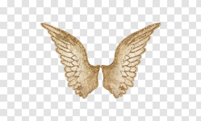 Wing Clip Art - Moths And Butterflies - Moth Transparent PNG