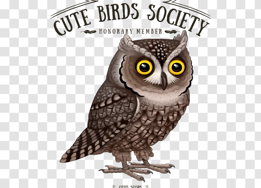 Owl Cartoon - Tshirt - Beak Great Horned Transparent PNG