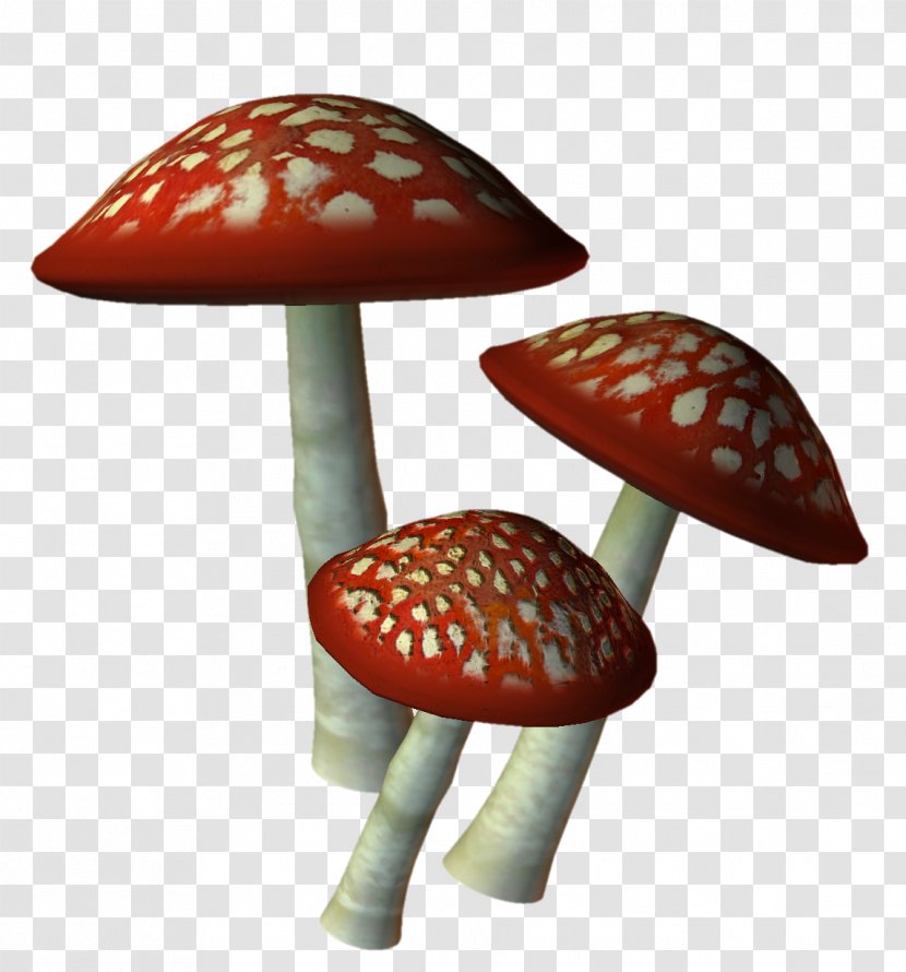 Mushroom - Tiff - Google Images Transparent PNG