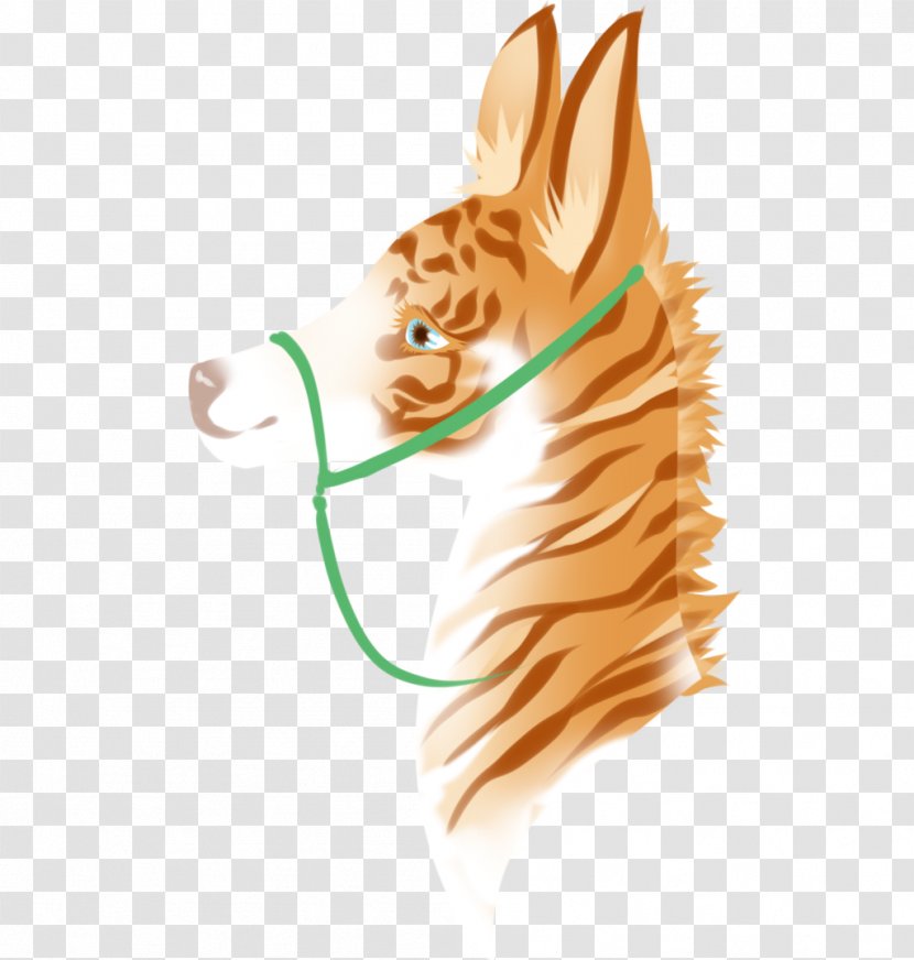 Whiskers Cat Dog Paw Transparent PNG