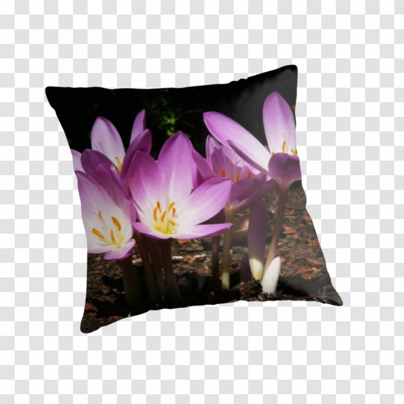 Throw Pillows Cushion Violet Flowering Plant - Pillow - Certificate Of Shading Transparent PNG