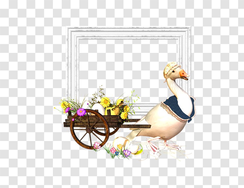 Picture Frames Scrapbooking Easter - Bird - Greeting Transparent PNG