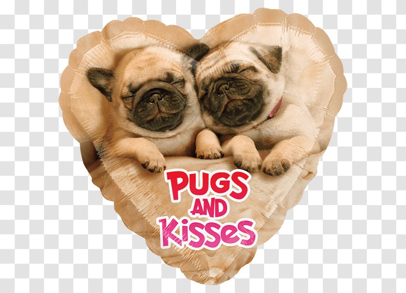 Pug Puppy Valentine's Day Balloon Greeting & Note Cards - Dog Breed Transparent PNG