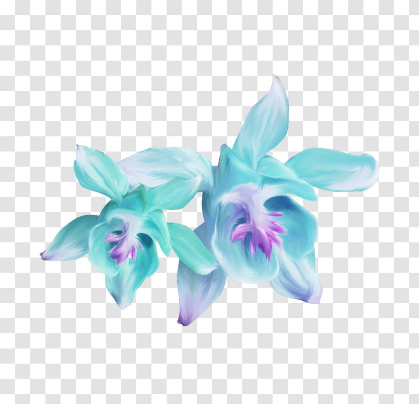Cut Flowers Blue Clip Art - Moth Orchid - Flower Transparent PNG
