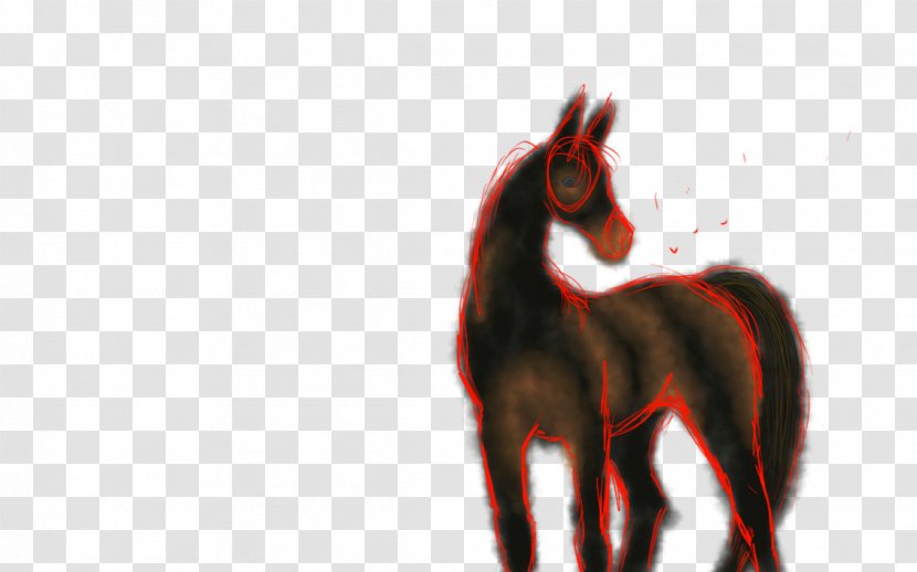 Mane Mustang Stallion Colt Halter - Color Sketch Transparent PNG