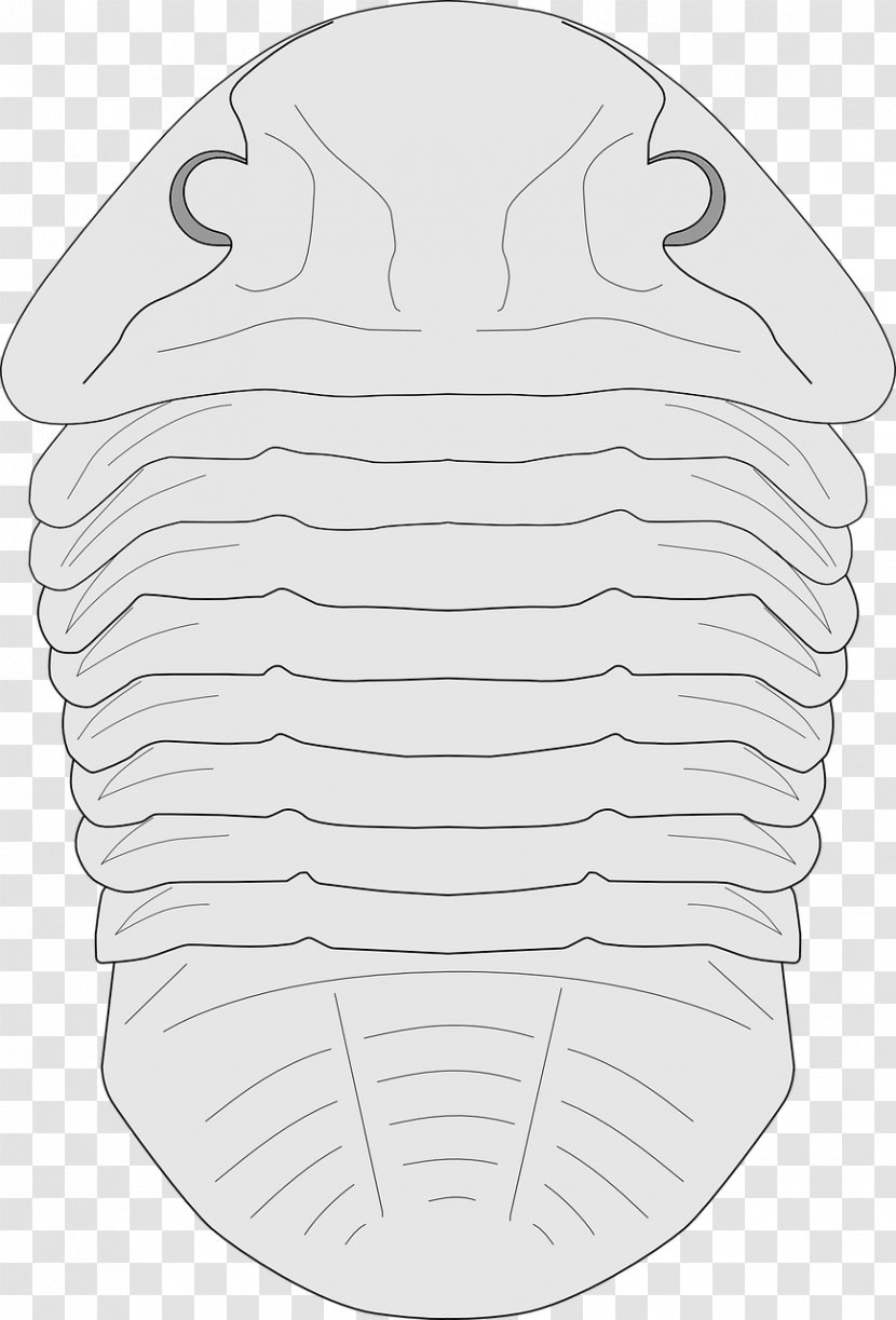 /m/02csf Line Art Drawing Clip Pattern - Frame - Trilobite Stamp Transparent PNG