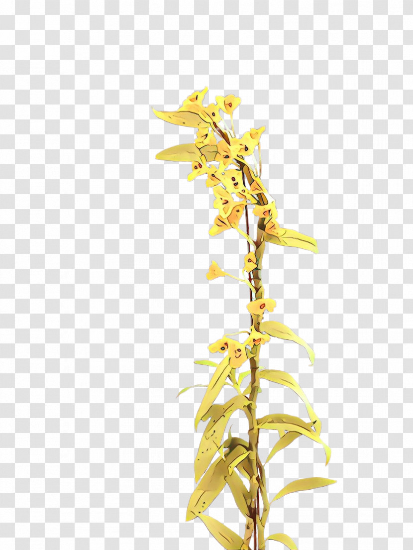 Yellow Plant Flower Twig Branch Transparent PNG