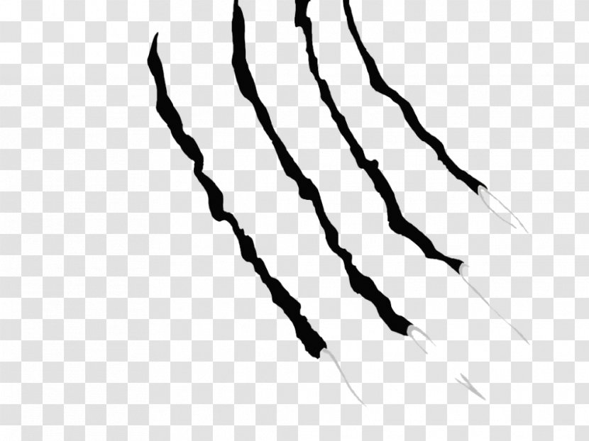 Hair Style - Tiger - Twig Transparent PNG