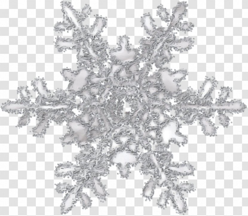 Snowflake - Metal Crystal Transparent PNG