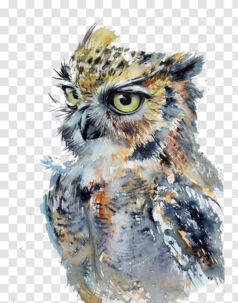 Owl Watercolor Painting Drawing Art - Canvas Print - Fierce Transparent PNG