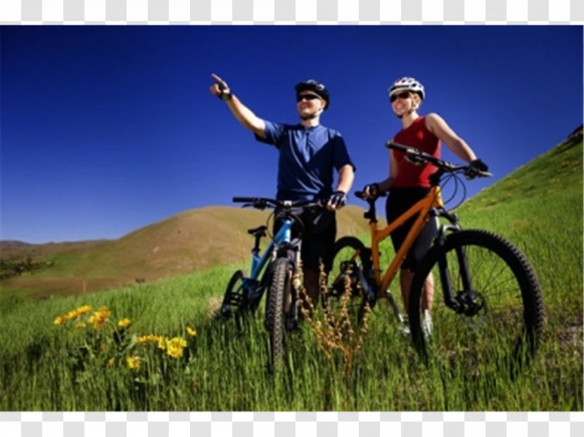 Long-distance Cycling Route Gmina Goworowo Bicycle Excursion Apuseni Mountains - Land Vehicle Transparent PNG