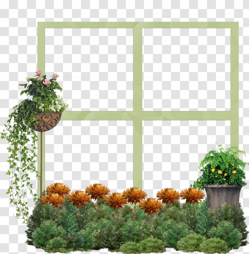 Window Clip Art Image Borders And Frames - Plant Transparent PNG