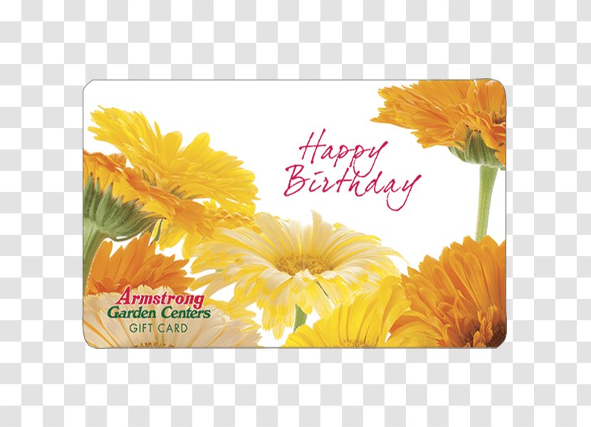 Gift Card Armstrong Garden Centers Greeting & Note Cards Birthday - Centre Transparent PNG